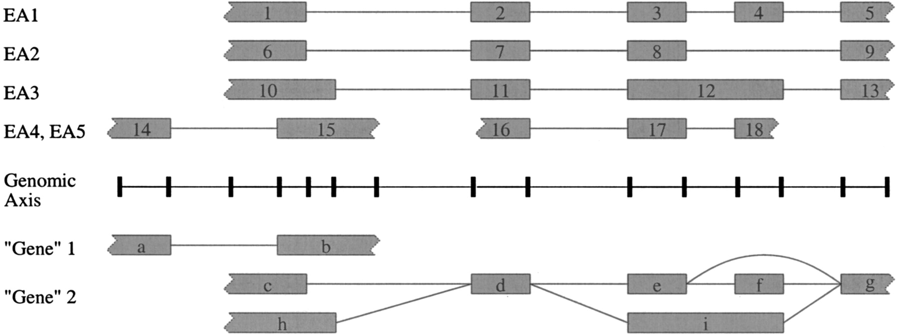 GR28894f1_1t