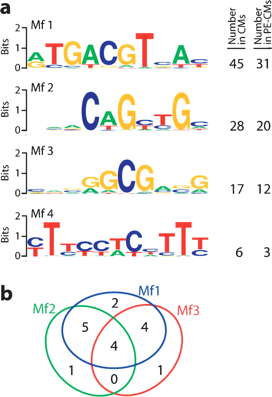 1315fig4
