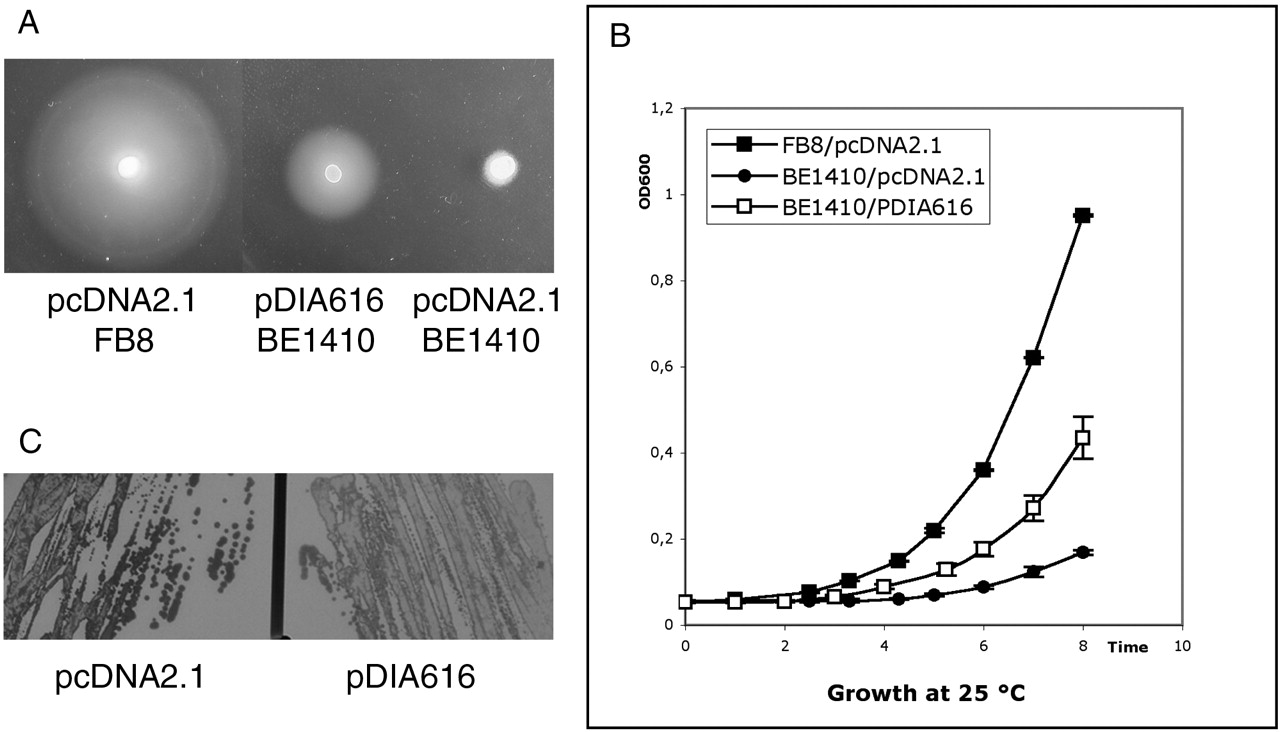 1325fig4
