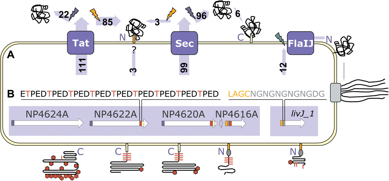 1336fig3