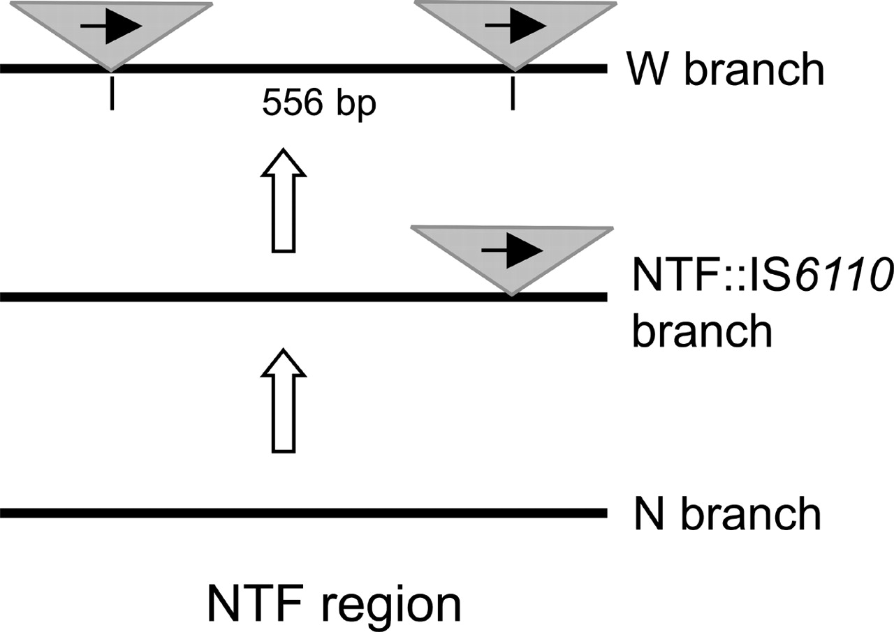1357fig2