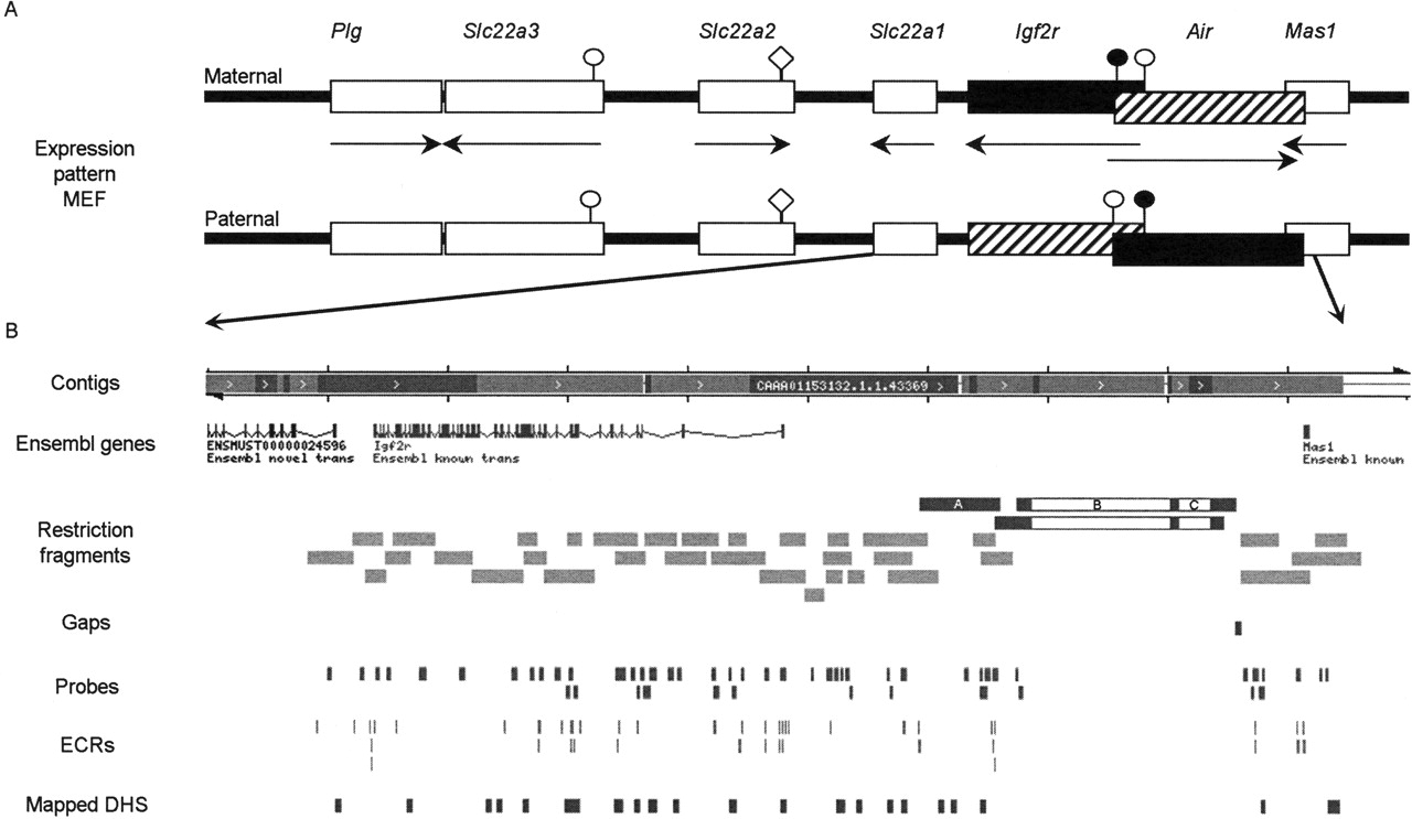1379fig1