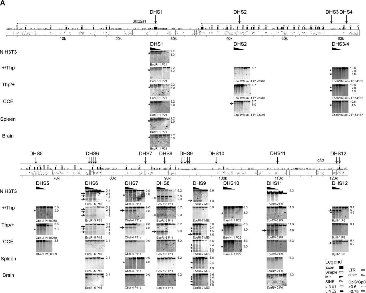 1379fig2a