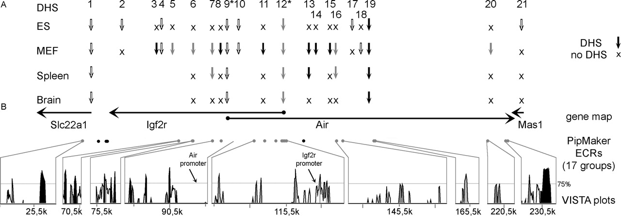 1379fig3