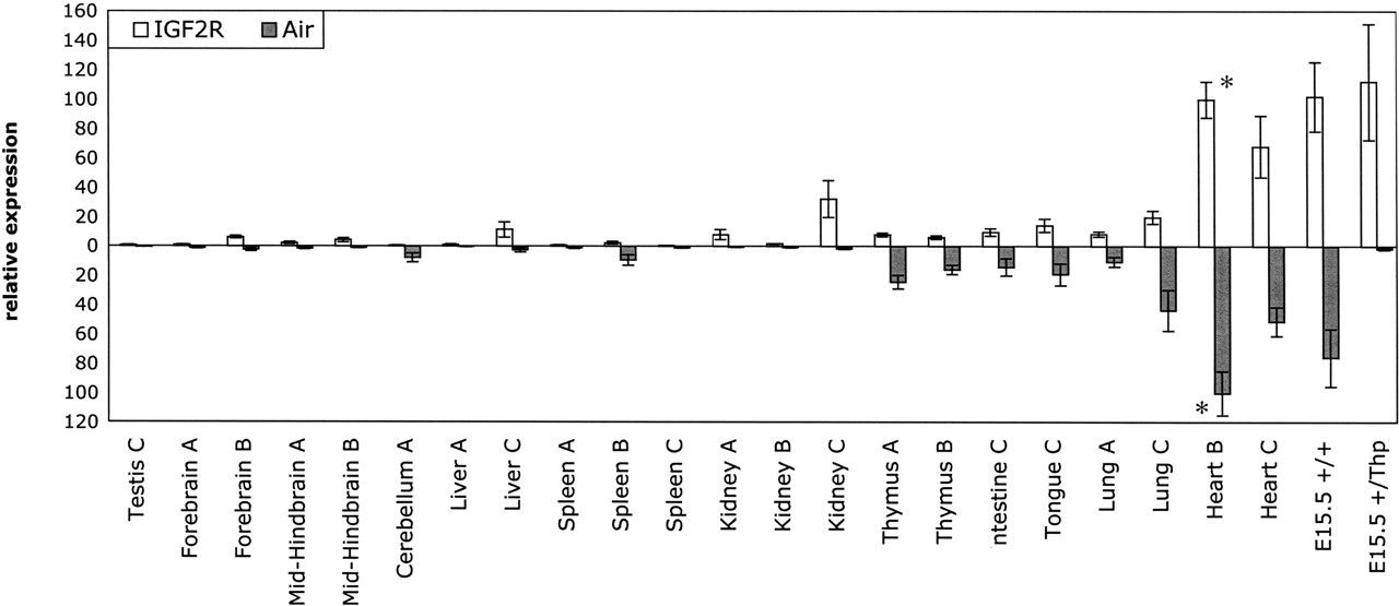 1379fig4
