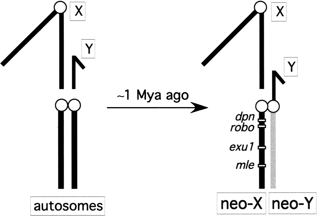 1393fig1