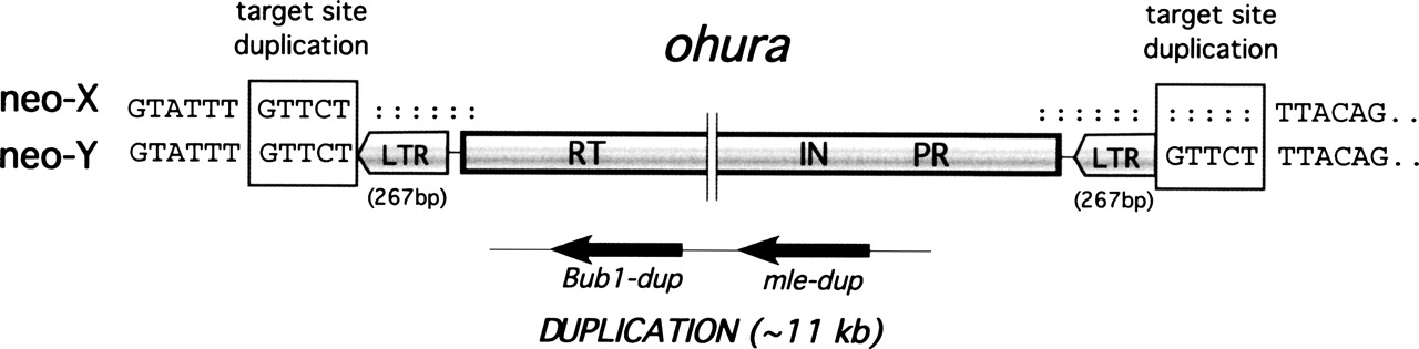 1393fig3