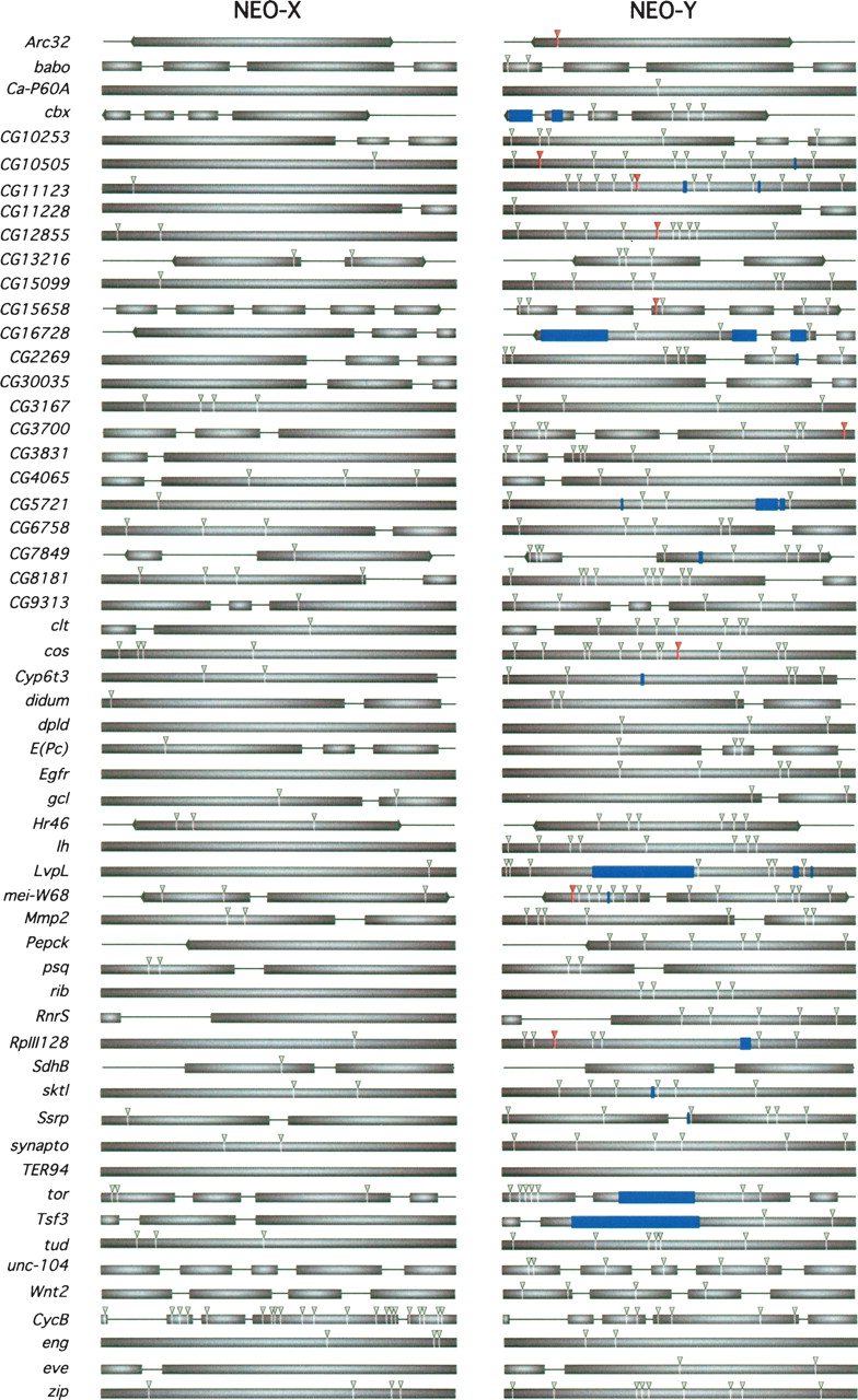 1393fig4