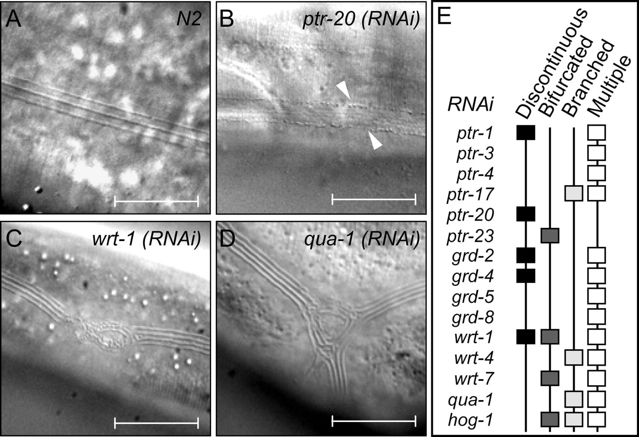 1402fig4