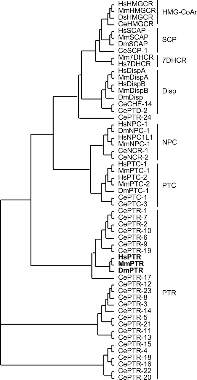 1402fig6