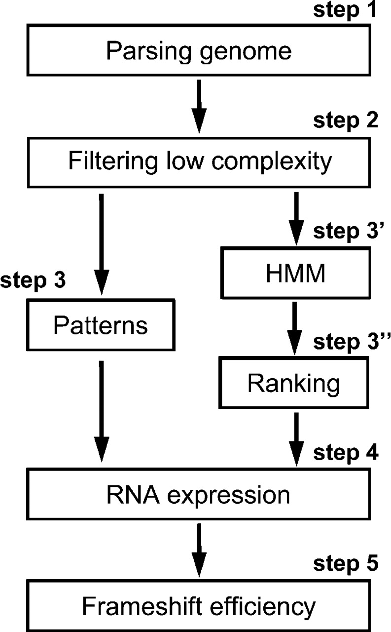 1411fig1