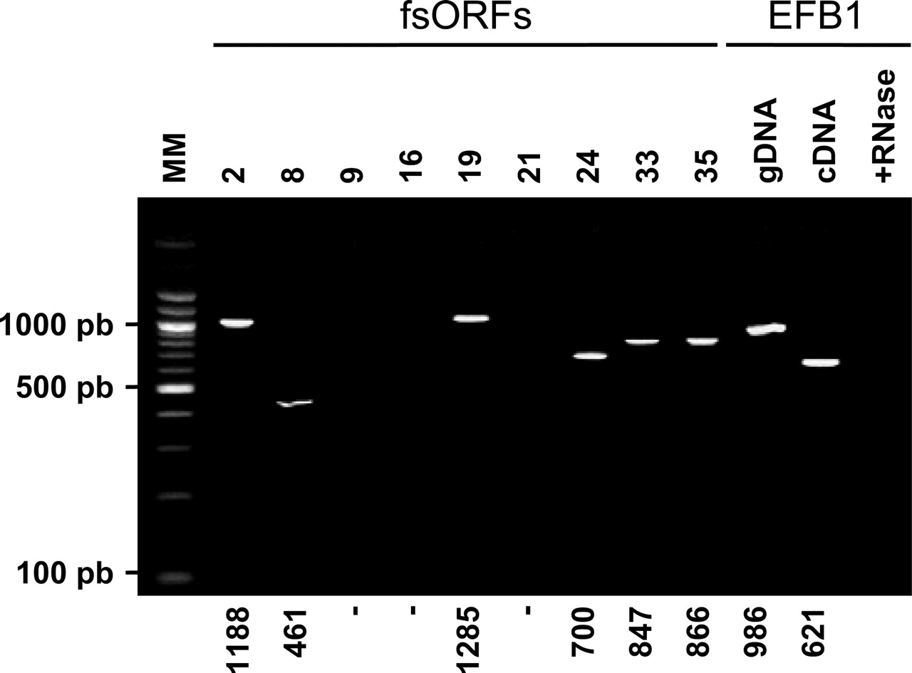 1411fig6