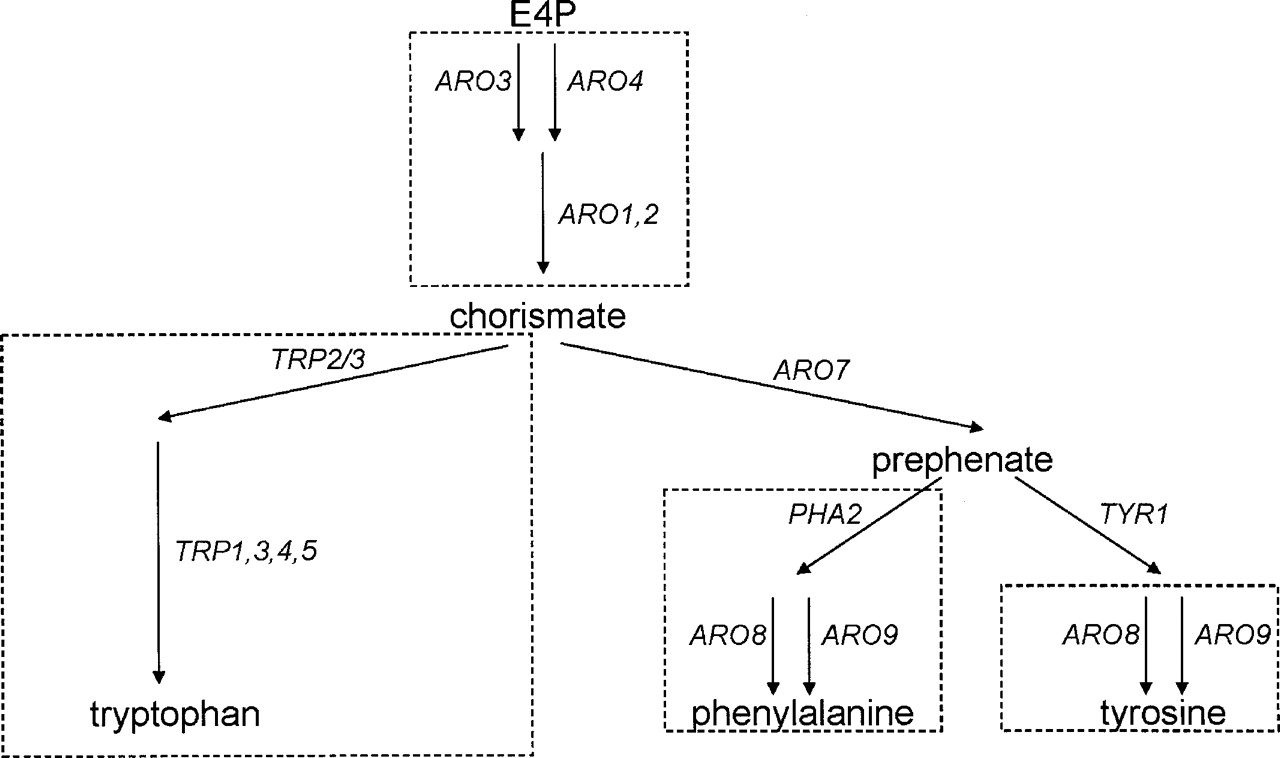 1421fig6