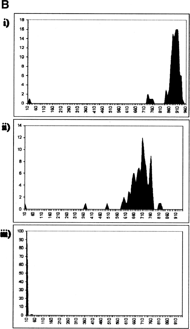 1447fig1b