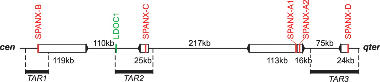 1477fig1
