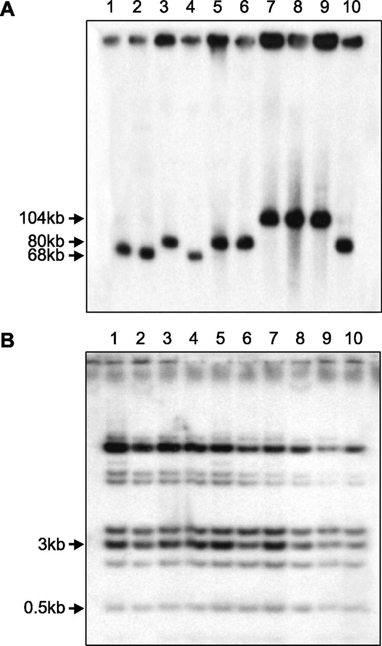 1477fig6