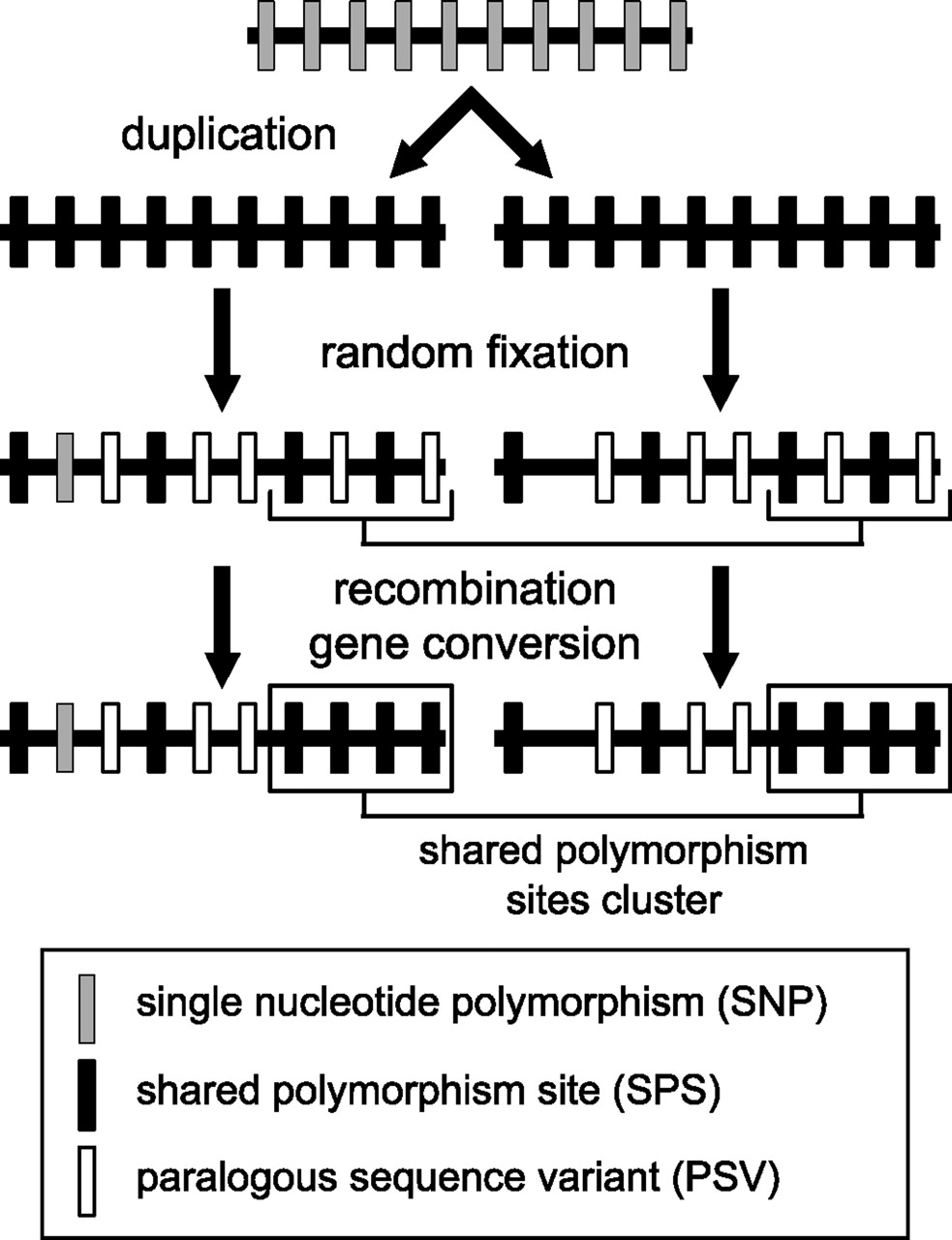 1487fig4