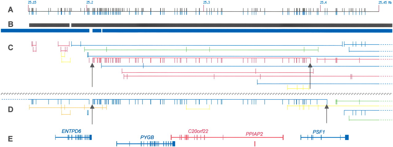 1503fig4