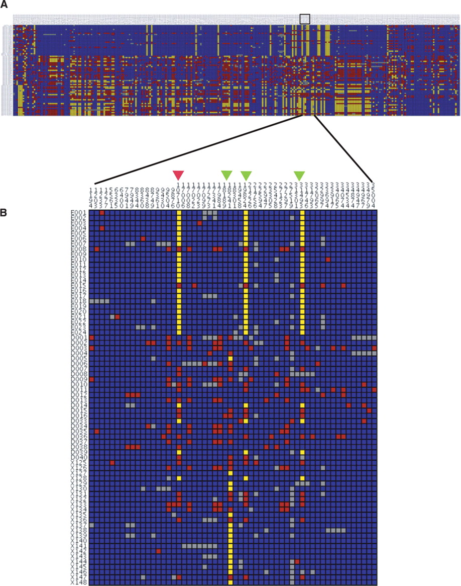 1553fig4