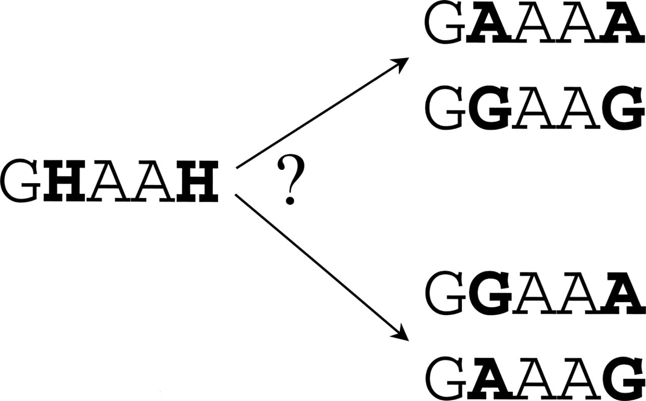 1594fig1