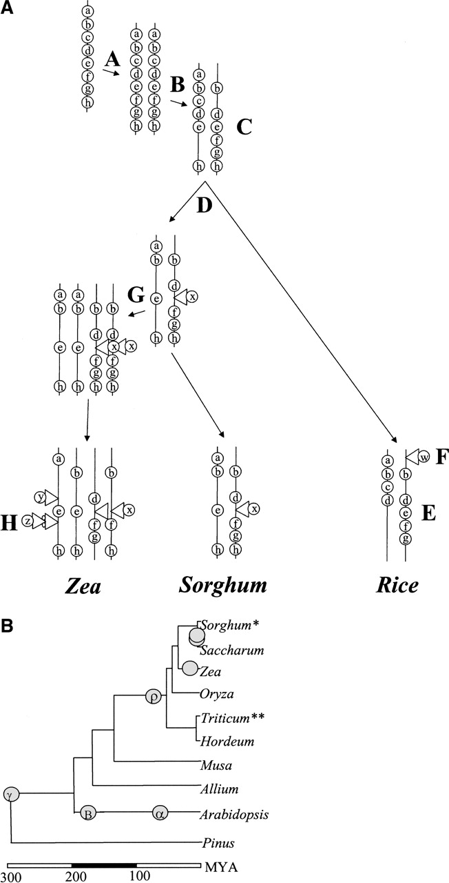 1643fig1