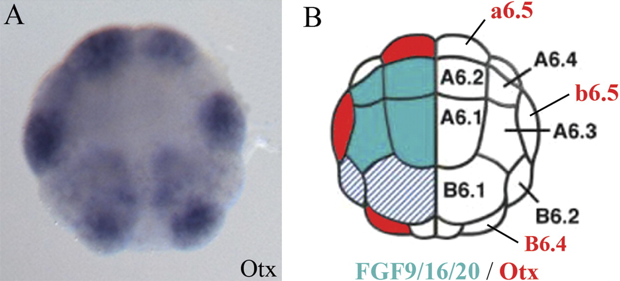 1668fig4