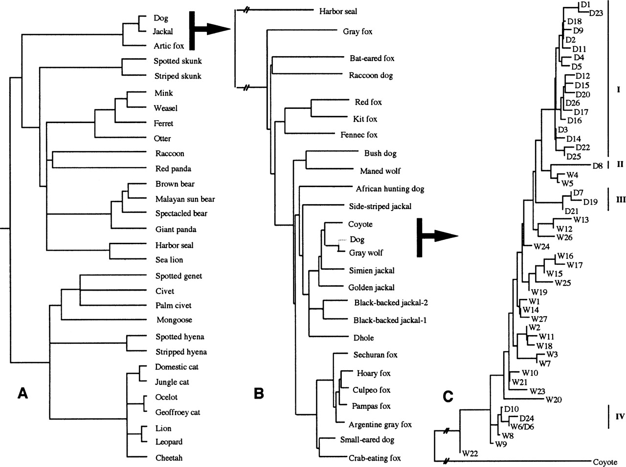 1706fig1