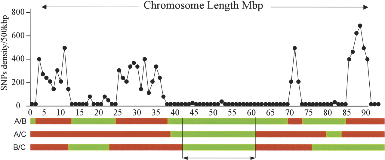 1729fig2