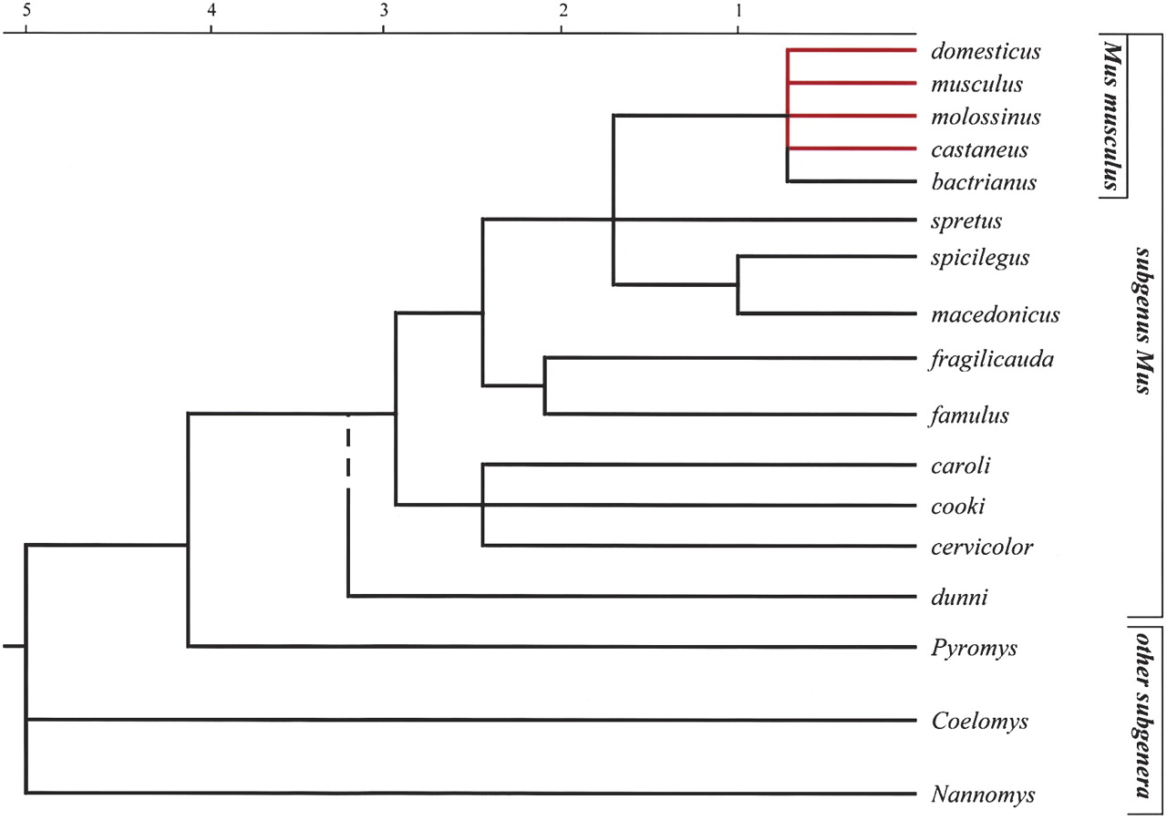 1729fig3