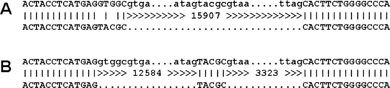 1777fig1