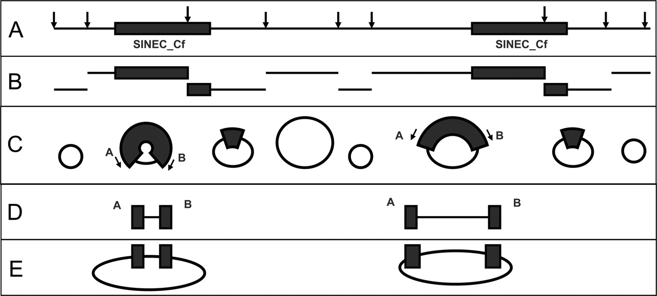 1798fig1