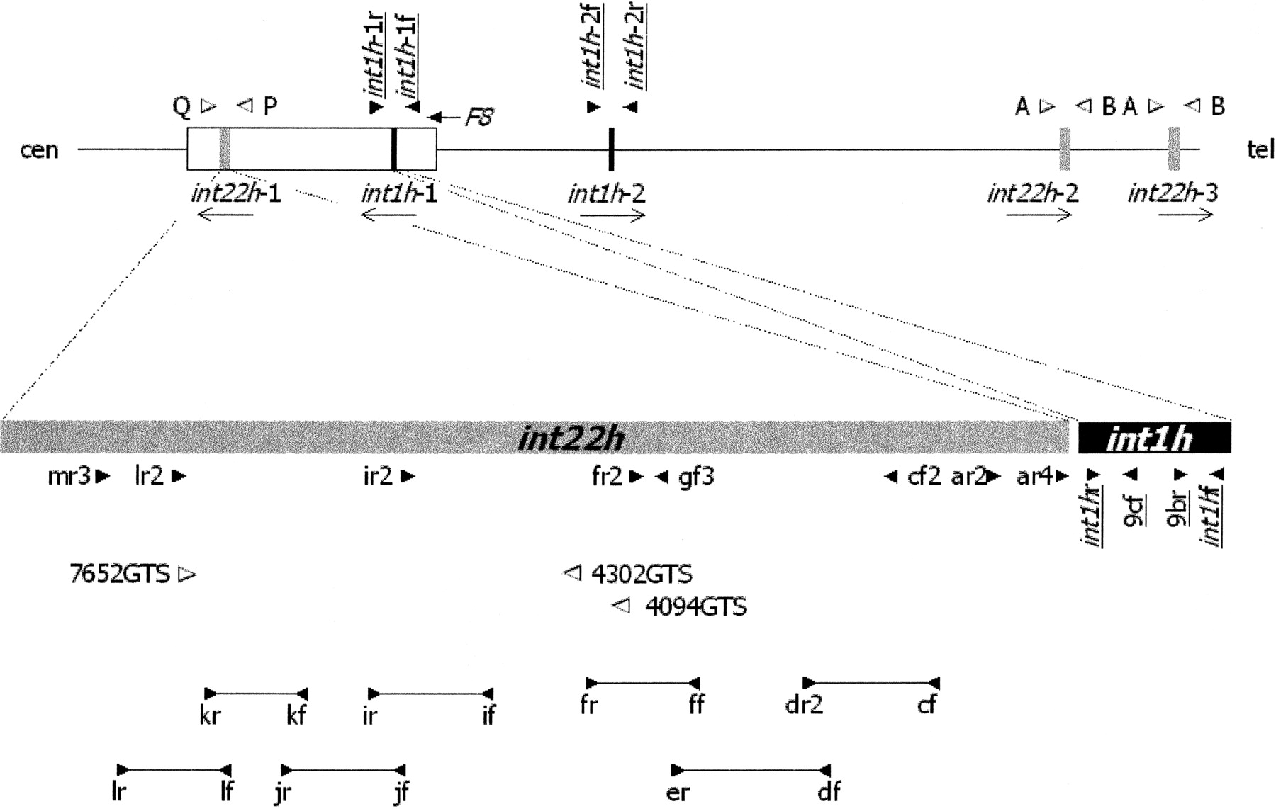 GR29462rf1_1t