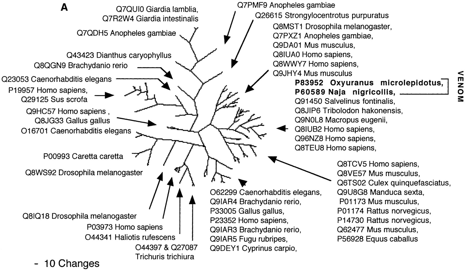 GR32284rf11a_1o_rev2