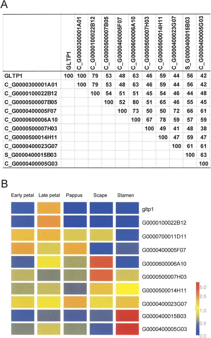 gr30437f1_4t