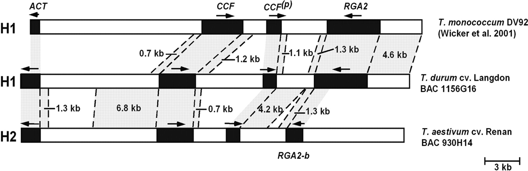 gr31310f3_1o