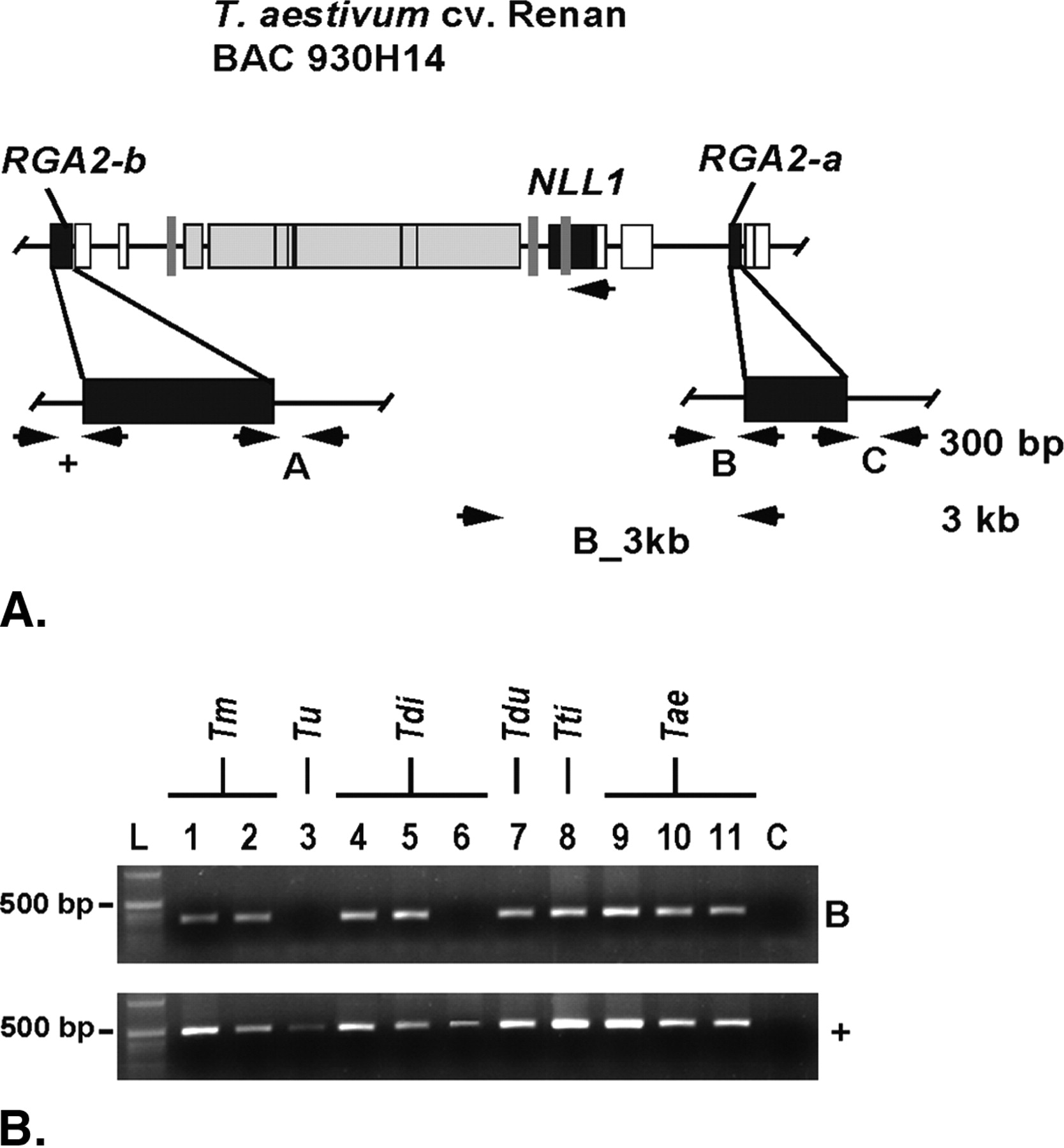 gr31310f6_1o_rev1