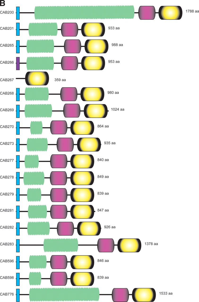 gr36848f4b_4o