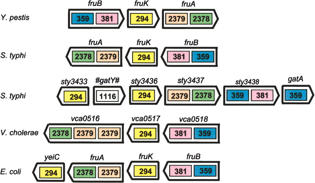 gr36384f1_4t