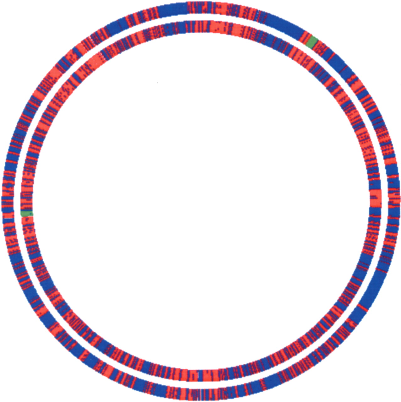 gr36384f2_4t