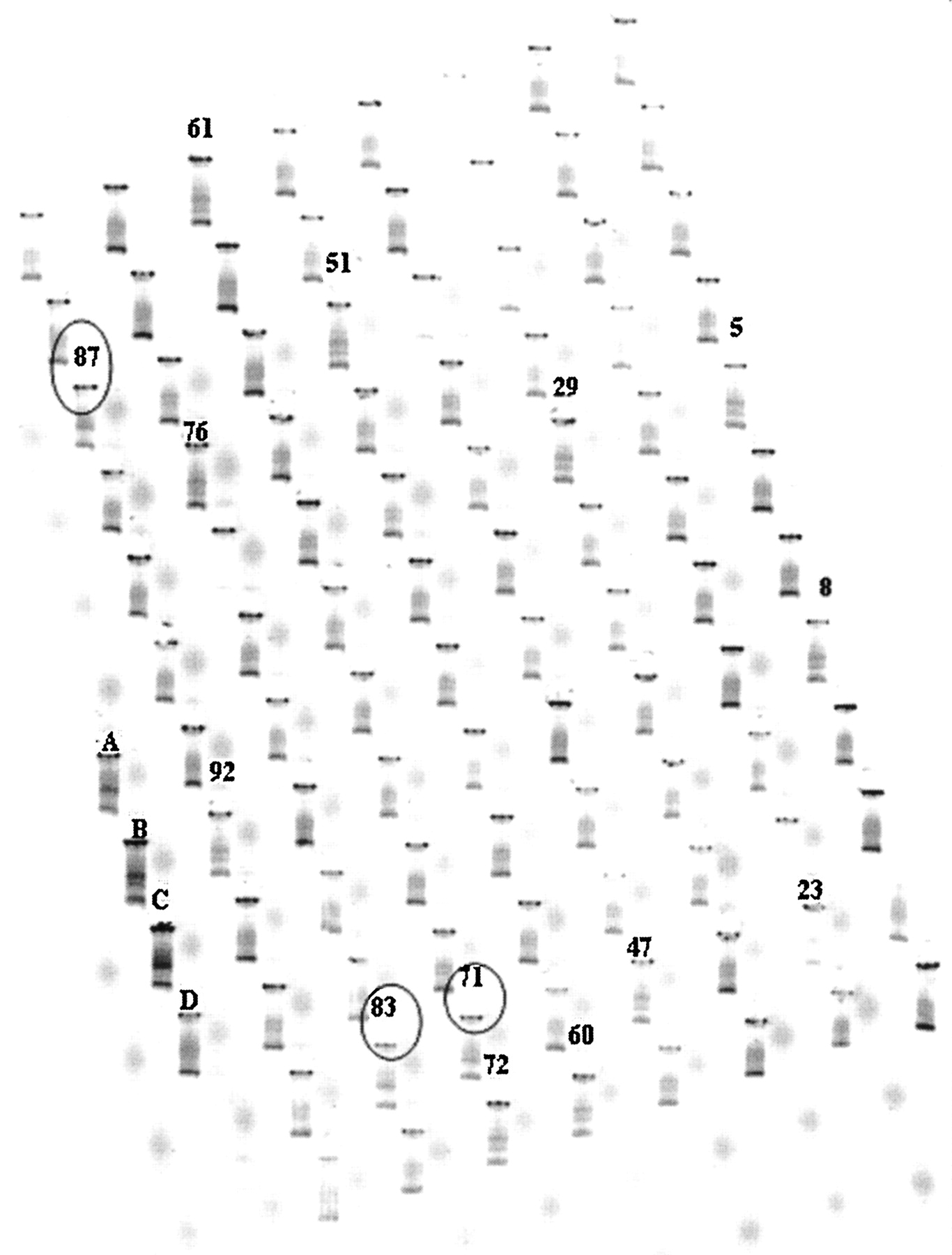 gr33134f2_1o