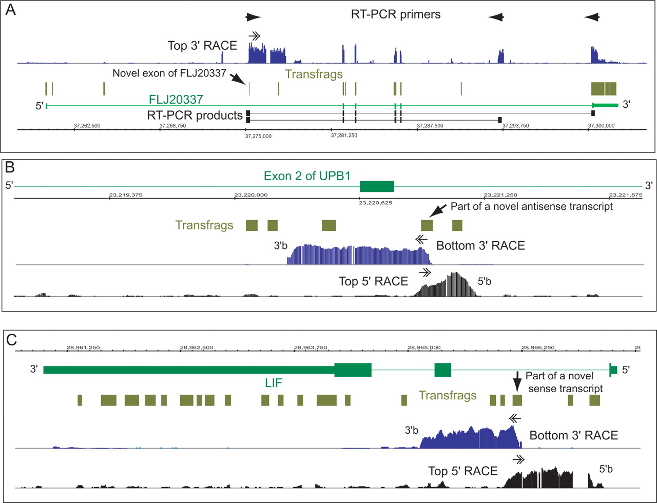gr34553f4_4o_rev1