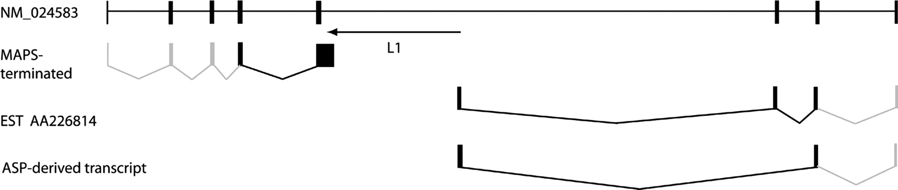 gr36889f4_1o_rev1