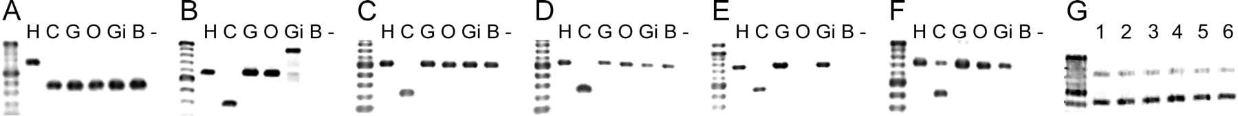 gr39107f3_1o