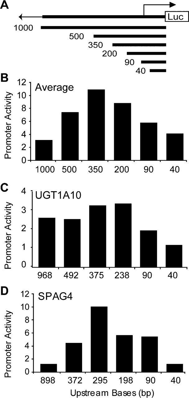 1fig3