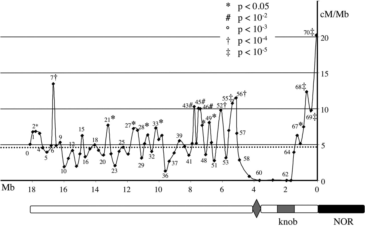 106fig1