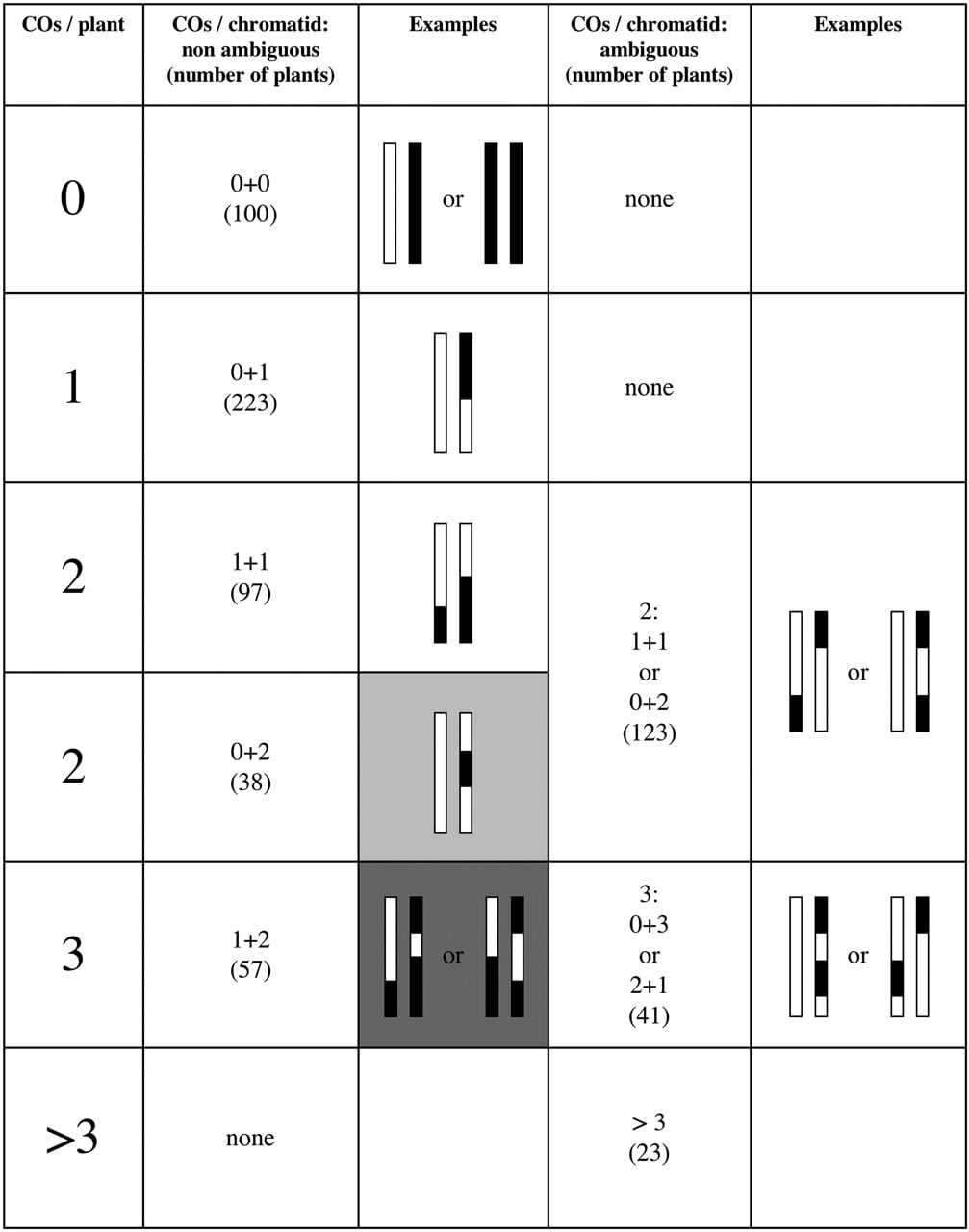 106fig3