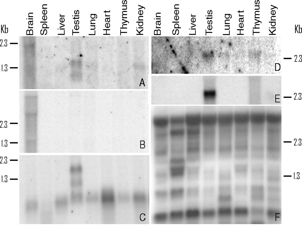 11fig3