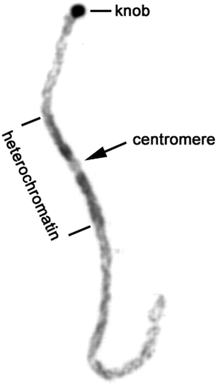 115fig2