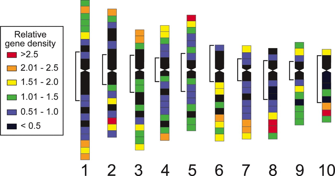 115fig4