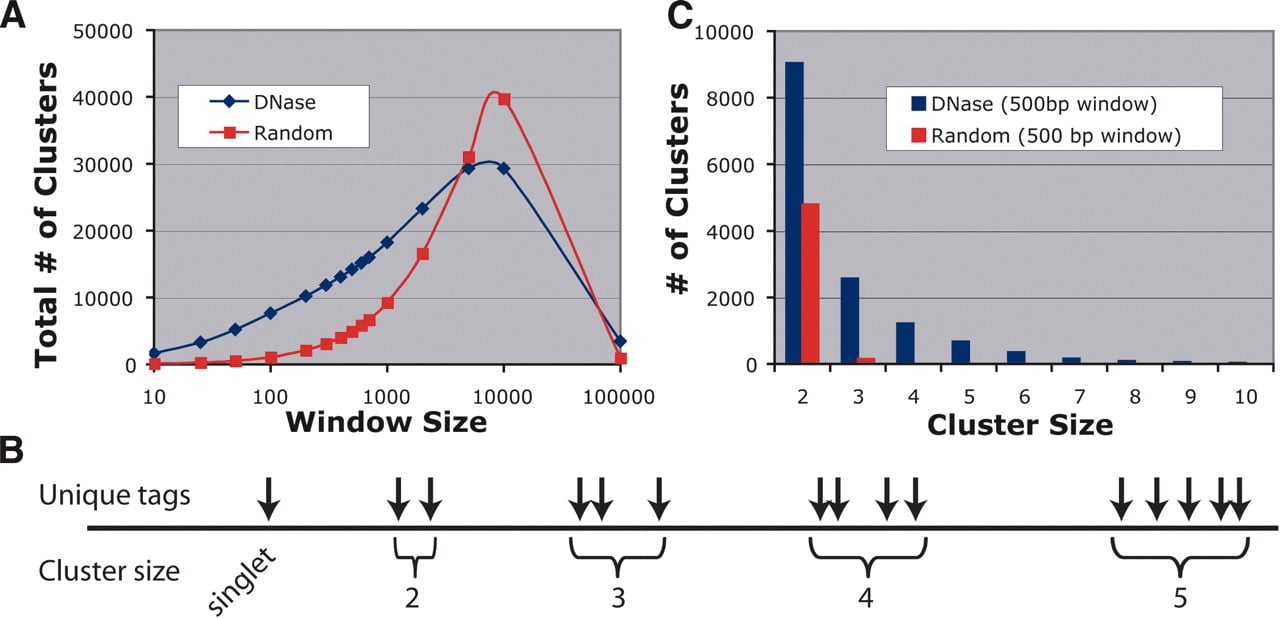 123fig1